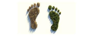 Vers un avenir durable : les perspectives du tourisme vert